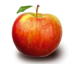 Apfel_1