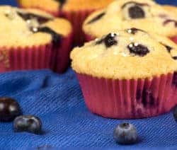blaubeer-muffins