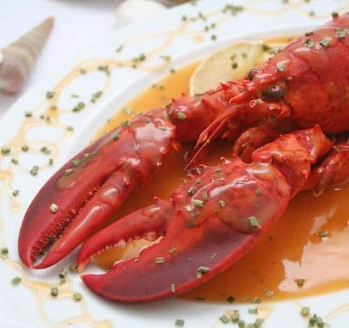 Dorf Brillant Amphibisch lebenden hummer kochen Peru billig Anzahlung