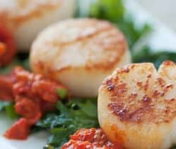 jakobsmuscheln-crostini