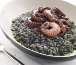 risotto-nero-mit-tintenfisch