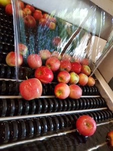 Apfel Vertrieb
