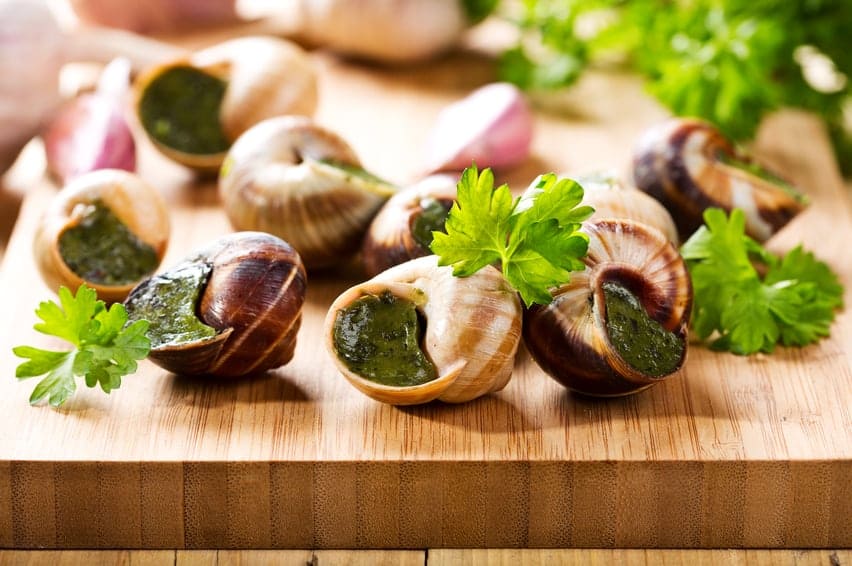 Weinbergschnecken Elsässer Art Rezept | GekonntGekocht