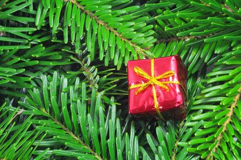 advent-tradition-bedeutung