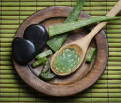 Aloe-Gel in Holzlöffel auf Teller mit Aloe-Stücken und schwarzen Steinen auf grünem Bambus.