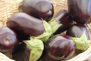 Aubergine