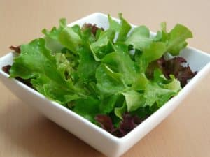 Blattsalat