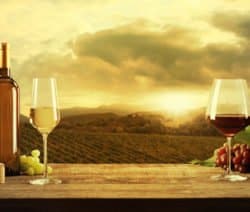 Weinflaschen und Gläser auf einem Tisch mit Trauben, Fässern und Sonnenuntergang über Weinbergen im Hintergrund.
