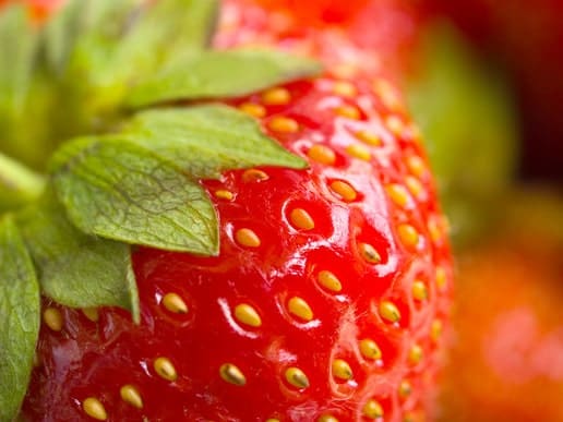 Leckere Erdbeeren für Erdbeer-Quarkknödel mit Pistazienbröseln