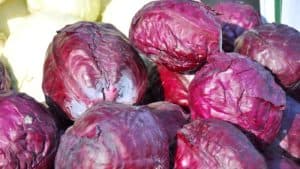 Rotkohl