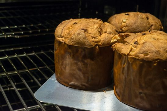 Frisch gepackene Panettone im Ofen