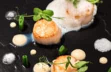 Grilled scallops