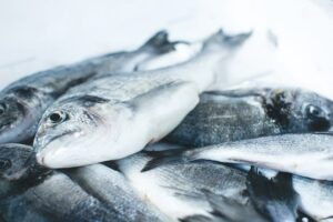 Fisch als Omega 3 Quelle 