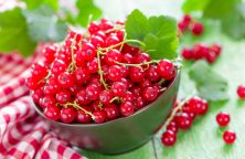 Johannisbeer Saft selbst gemacht