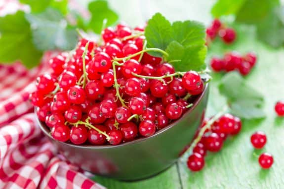 Johannisbeer Saft selbst gemacht