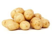 Ein Haufen frischer, hellbrauner Kartoffeln auf weißem Hintergrund.