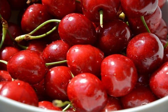 Eine Schale voller glänzender roter Kirschen mit grünen Stielen.