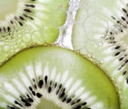 Foto einer Kiwi, der typischen Frucht Neuseelands