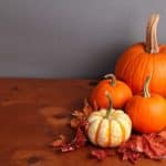 Dekorative Herbst „Pumpkins“