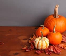 Vier Kürbisse auf Holztisch, umgeben von roten Herbstblättern, vor grauem Hintergrund.