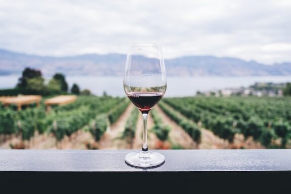 Bio-Wein: Glas Wein mit Weinbergen im Hintergrund