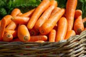 Ein Korb voller frischer, leuchtend orangefarbener Karotten mit grünem Laub im Hintergrund.