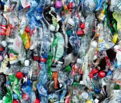Gepresste Plastikflaschen mit bunten Deckeln, dicht gestapelt.