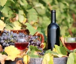 Eine Weinflasche, zwei Gläser Rotwein und ein Korb mit Trauben auf einem Tisch mit Weinblättern.