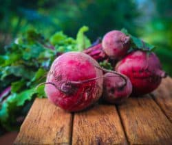 Rote Bete