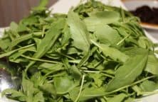 Rucola Pesto Rezept