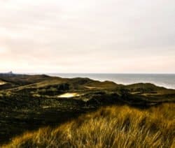 Schleswig Holsteiner Küche und Spezialitäten
