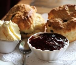 Englischer Nachmittags-Tee-Klassiker Scones, dazu Marmelade und Clotted Cream