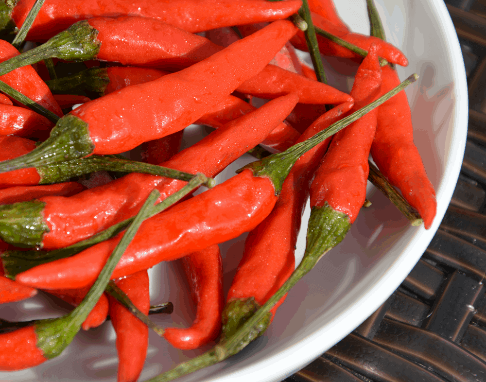 Thai Chili