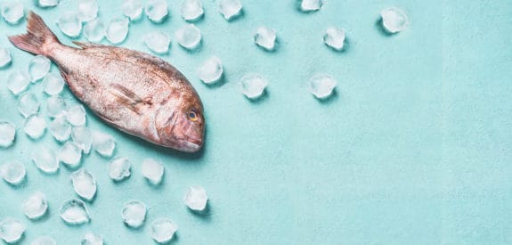 Ein Fisch liegt auf türkisfarbenem Hintergrund, umgeben von Eiswürfeln.