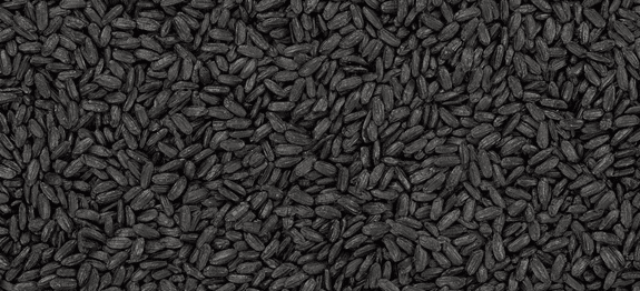 Venere Reis Kochlexikon