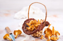 Wildgeschnetzeltes mit Pfifferlingen in Rotweinsauce