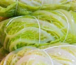 Frische, grüne Chinakohlköpfe sind mit Schnur gebunden.